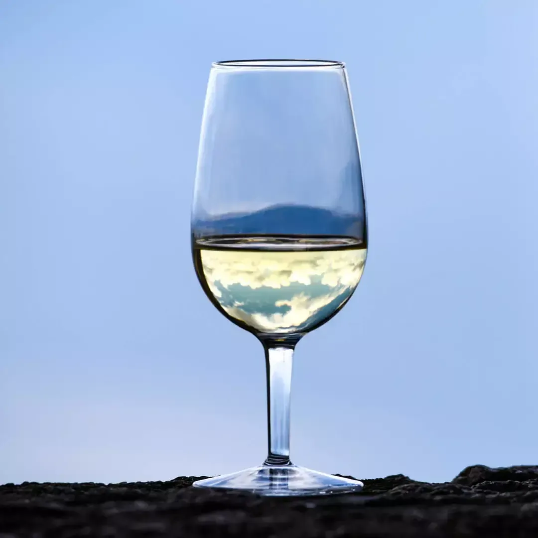 LUIGI BORMIOLI DOC WINE TASTER GLASS 215ml