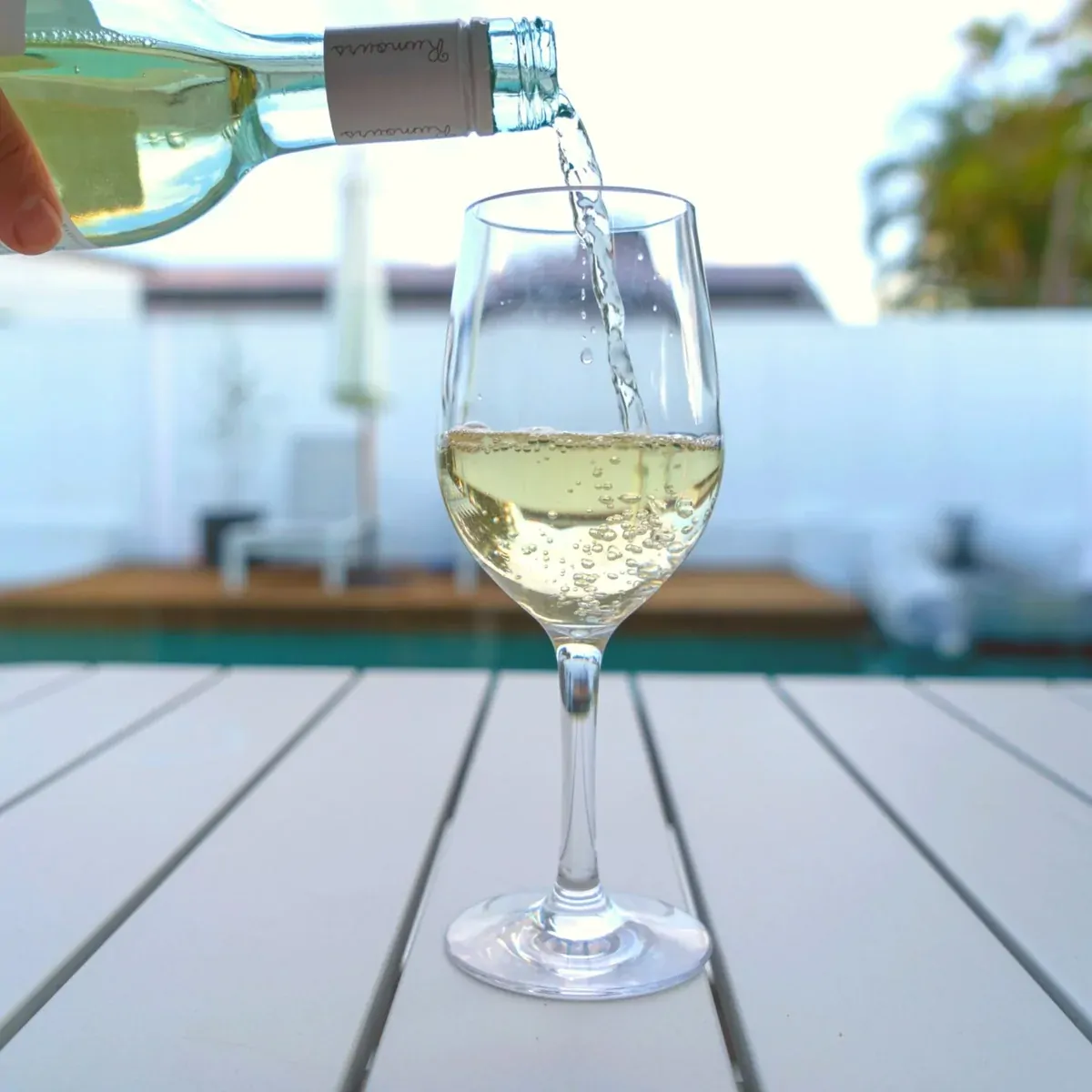 D-Still Essentials Polycarbonate White Wine Glass 315ml