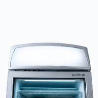 BROMIC SINGLE DOOR UPRIGHT FREEZER W/GLASS DOOR