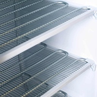 BROMIC SINGLE DOOR UPRIGHT FREEZER W/GLASS DOOR
