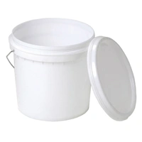 A PLUS 10 LTR PAIL/ BUCKET WITH LID