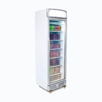 BROMIC SINGLE DOOR UPRIGHT FREEZER W/GLASS DOOR