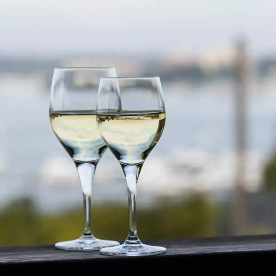 PASABAHCE NUDE PRIMEUR WHITE WINE 260ml