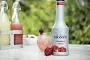 Monin Fruit Puree Strawberry 1 Litre