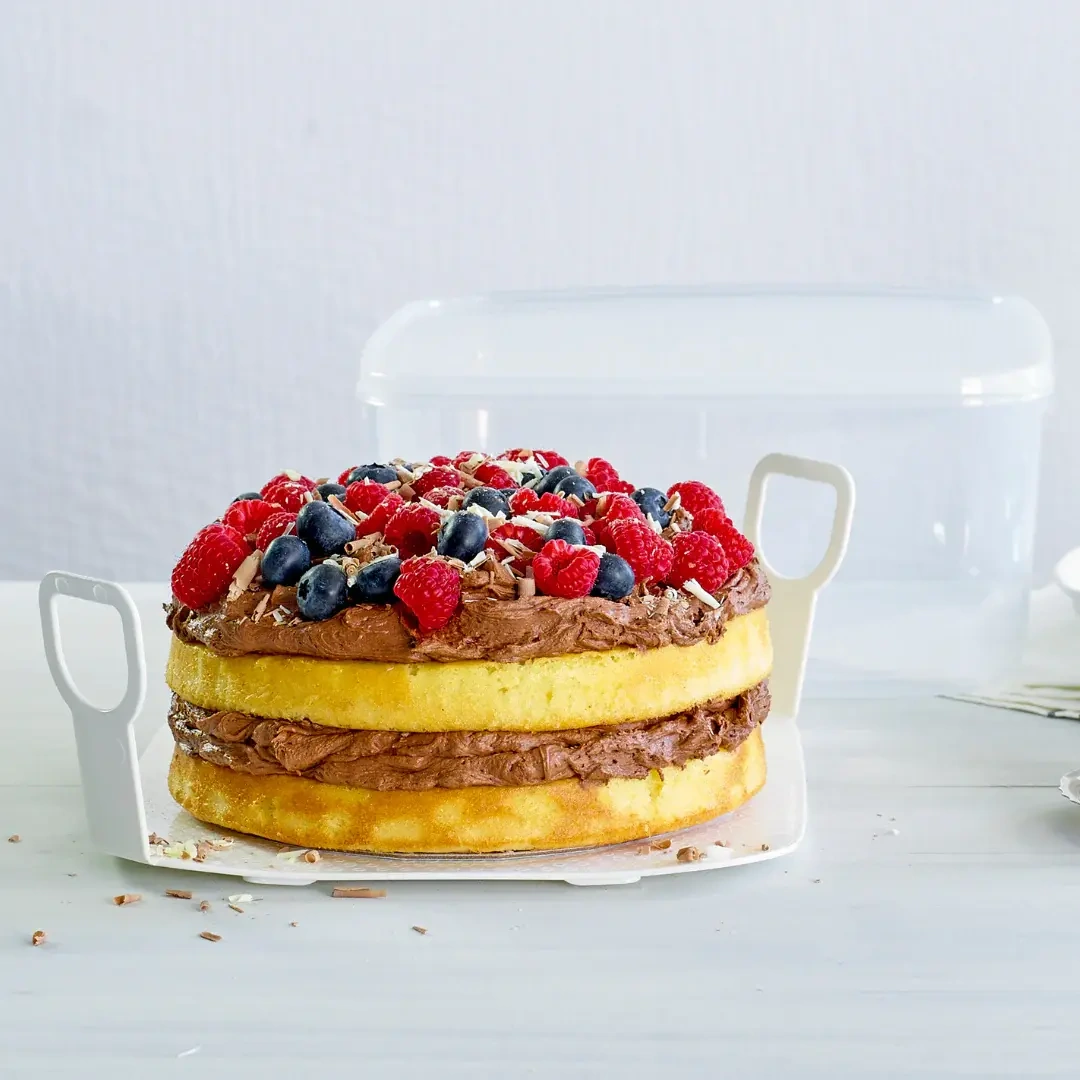 DECOR TELLFRESH CAKE STORER W/ LIFTER 6 LTR