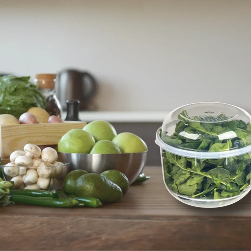 DECOR TELLFRESH LETTUCE & SALAD CRISPER 