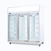 BROMIC 3 FLAT GLASS DOOR DISPLAY FREEZER 1507 LITRE