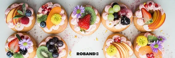 ROBAND DONUT FRYER 8.5 LITRES