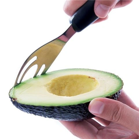 SAVANNAH AVO SHARK
