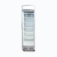 BROMIC SINGLE DOOR UPRIGHT FREEZER W/GLASS DOOR