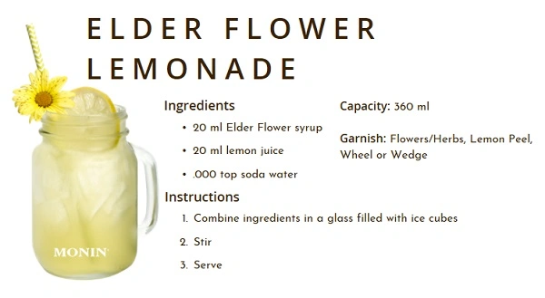 MONIN NON-ALCOHOLIC SYRUP, 700ml, ELDER FLOWER