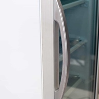 BROMIC SINGLE DOOR UPRIGHT FREEZER W/GLASS DOOR