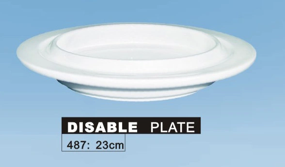 LONG FINE CLASSICWARE AGED CARE PLATE 222x30mmH