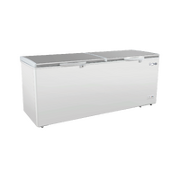 EXQUISITE CHEST FREEZER S/ST TOP 662 LITRE
