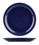 AFC FLINDERS HEALTHCARE PLATE BLUE 225mm
