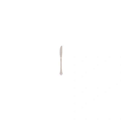 TABLE KNIFE 18/10 MONTE