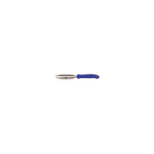 ICEL FISH SCALER WITH BLUE HANDLE 273mm